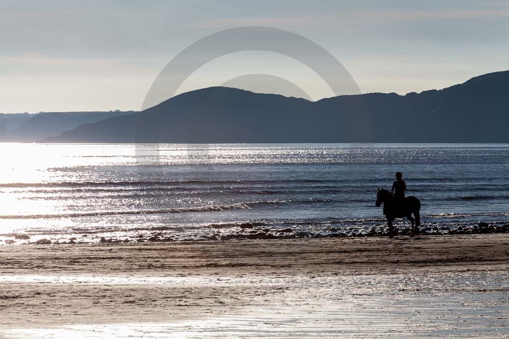 Beach Riding